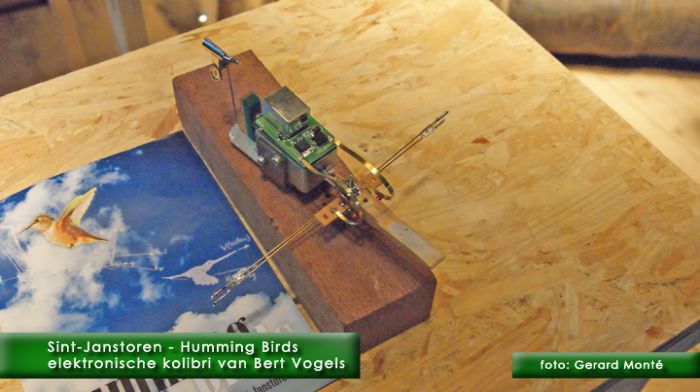 montE7061- boulevard humming birds-  web 2010