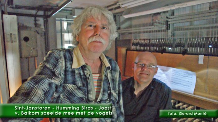 montE7073- boulevard humming birds-  web 2010