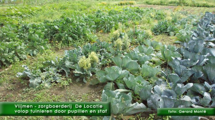 montE7077- vlijmen de locatie-  web 2010