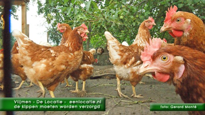 montE7083- vlijmen de locatie-  web 2010