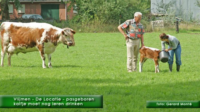 montE7089- vlijmen de locatie-  web 2010