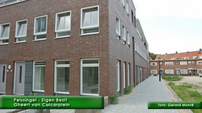 montE7151- Pelssingel-  web 2010