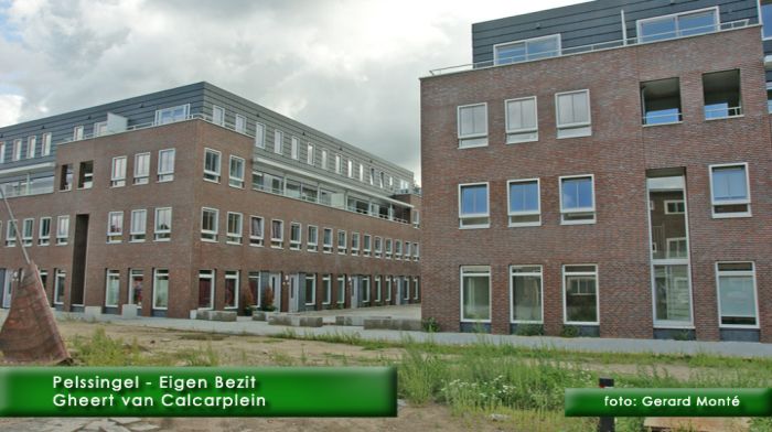 montE7152- Pelssingel-  web 2010