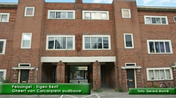 montE7153- Pelssingel-  web 2010