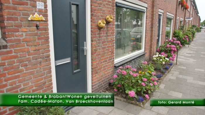 0montE9263- geveltuinenwedstrijd-  web 2011