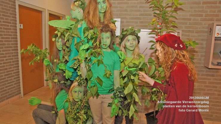 DSC08553-  Antoniegaarde verwenzorgdag kersenboom - foto GerardMontE - web