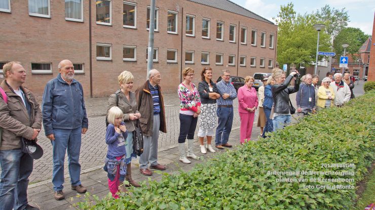 DSC08583-  Antoniegaarde verwenzorgdag kersenboom - foto GerardMontE - web