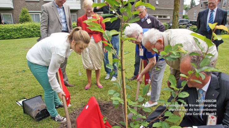 DSC08594-  Antoniegaarde verwenzorgdag kersenboom - foto GerardMontE - web
