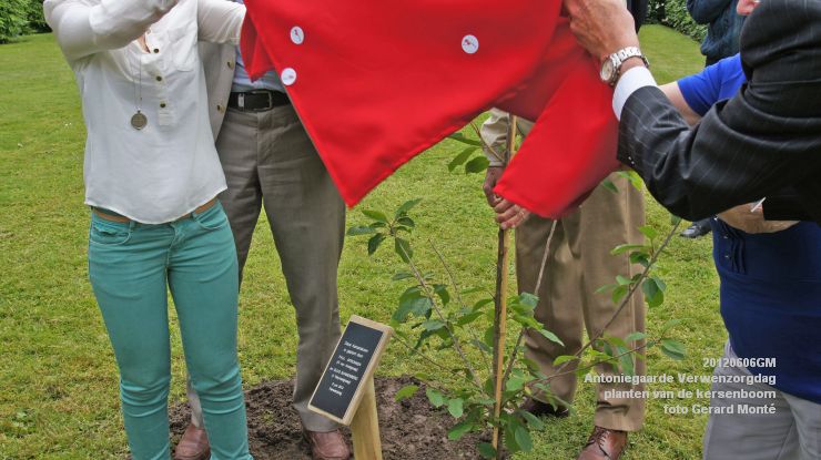DSC08601-  Antoniegaarde verwenzorgdag kersenboom - foto GerardMontE - web