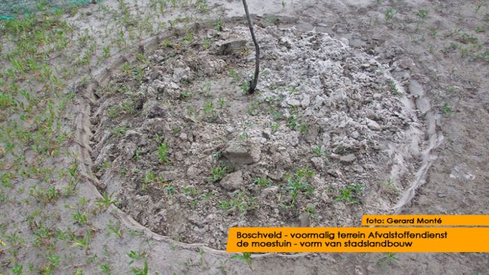 montE12442- Boschveld groen-  web 2012