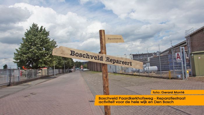 montE12507- Boschveld reparatiestraat-  web 2012
