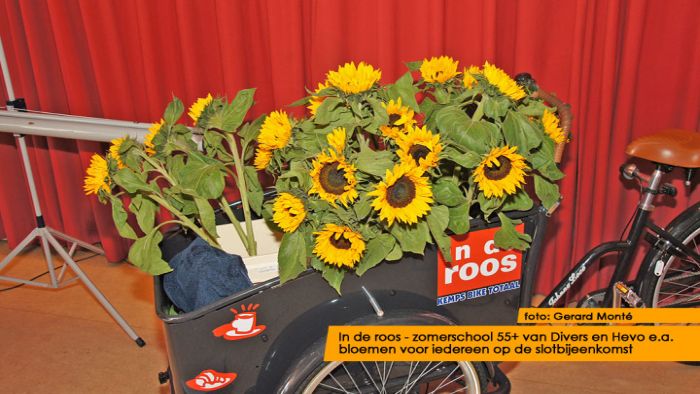 montE12577- zomerschool 55+ slot-  web 2012