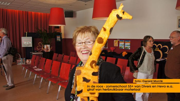 montE12582- zomerschool 55+ slot-  web 2012