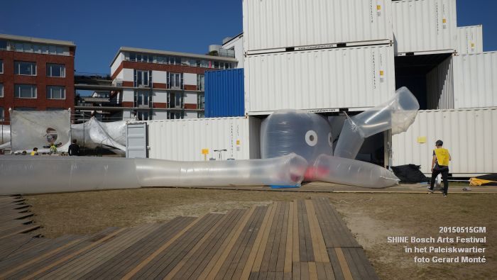 DSC05565- Shine BAF in het Paleiskwartier - 15mei2015 -  foto GerardMontE web