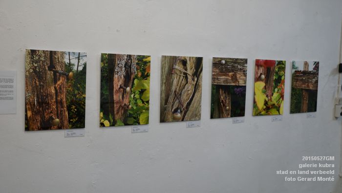 DSC08735- galerie kubra - Stad en land verbeeld - 27mei2015 -  foto GerardMontE web