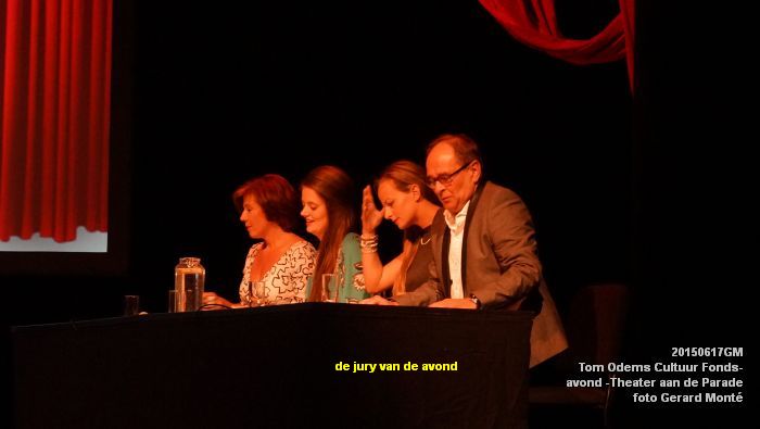 DSC00242- Tom Odems Cultuur Fonds-avond in ThadP - 17juni2015 - foto GMontE dia