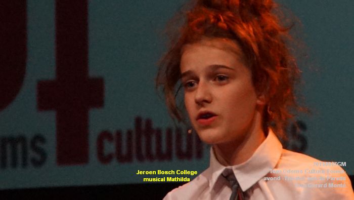 DSC00272- Tom Odems Cultuur Fonds-avond in ThadP - 17juni2015 - foto GMontE dia