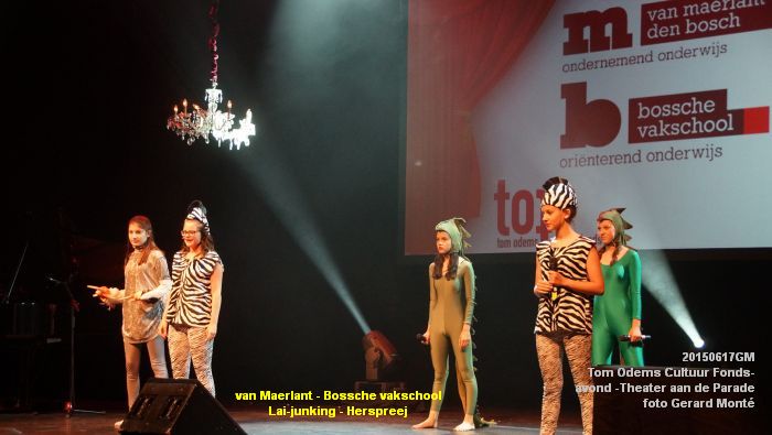 DSC00307- Tom Odems Cultuur Fonds-avond in ThadP - 17juni2015 - foto GMontE dia