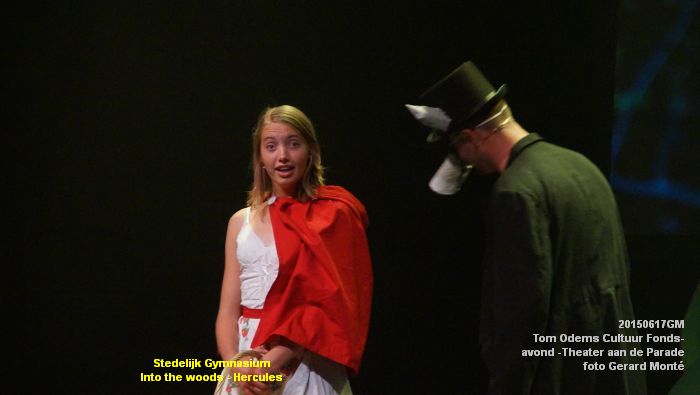 DSC00350- Tom Odems Cultuur Fonds-avond in ThadP - 17juni2015 - foto GMontE dia