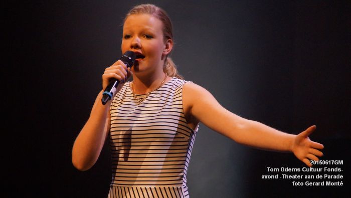 DSC00371- Tom Odems Cultuur Fonds-avond in ThadP - 17juni2015 - foto GMontE dia