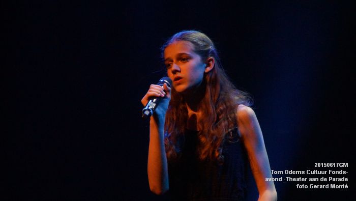 DSC00382- Tom Odems Cultuur Fonds-avond in ThadP - 17juni2015 - foto GMontE dia