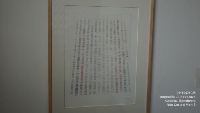 DSC01946- expositie Uit noodzaak - Kunsthal Boschveld - 21juni2015 - foto GerardMontE web