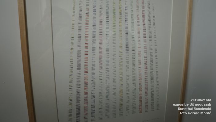 DSC01946-DSC02003- expositie Uit noodzaak - Kunsthal Boschveld - 21juni2015 - foto GerardMontE web