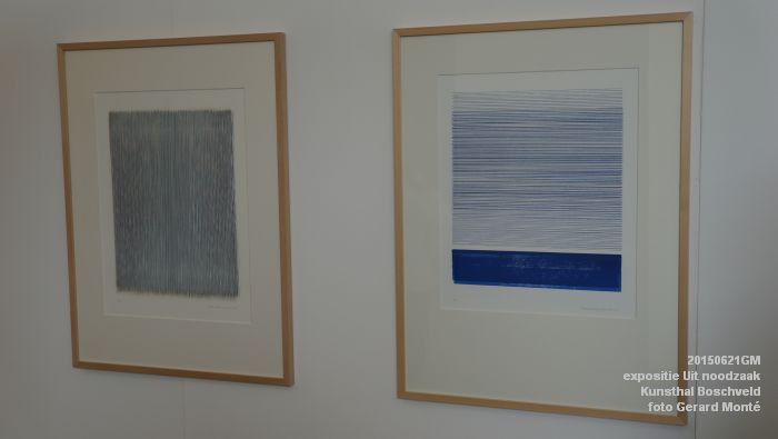 DSC01948- expositie Uit noodzaak - Kunsthal Boschveld - 21juni2015 - foto GerardMontE web