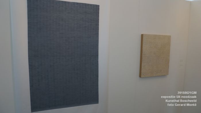 DSC01952- expositie Uit noodzaak - Kunsthal Boschveld - 21juni2015 - foto GerardMontE web