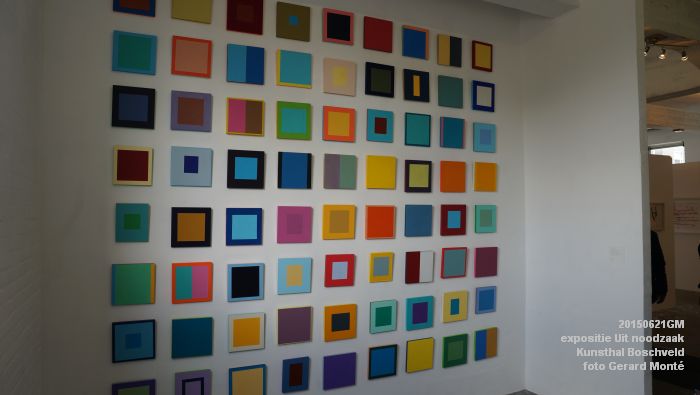 DSC01959- expositie Uit noodzaak - Kunsthal Boschveld - 21juni2015 - foto GerardMontE web