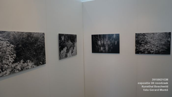 DSC01962- expositie Uit noodzaak - Kunsthal Boschveld - 21juni2015 - foto GerardMontE web