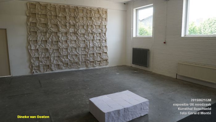 DSC01979- expositie Uit noodzaak - Kunsthal Boschveld - 21juni2015 - foto GerardMontE web