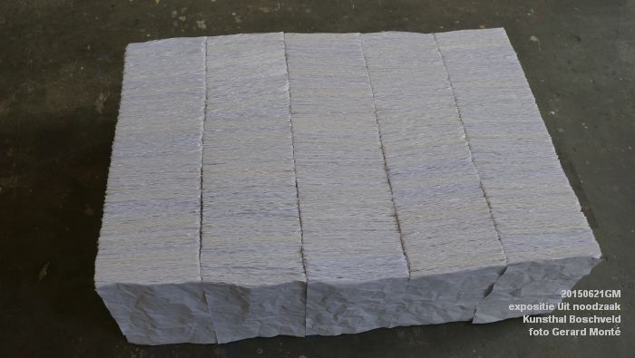 DSC01980- expositie Uit noodzaak - Kunsthal Boschveld - 21juni2015 - foto GerardMontE web