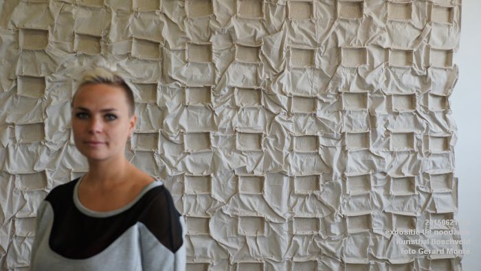 DSC01981-DSC01993- expositie Uit noodzaak - Kunsthal Boschveld - 21juni2015 - foto GerardMontE web