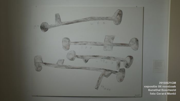 DSC01982- expositie Uit noodzaak - Kunsthal Boschveld - 21juni2015 - foto GerardMontE web