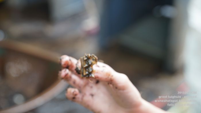 DSC02274- groot tuighuis - archeohotspot - poep van vroeger - 24juni2015 - foto GerardMontE web