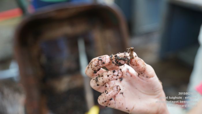 DSC02276- groot tuighuis - archeohotspot - poep van vroeger - 24juni2015 - foto GerardMontE web