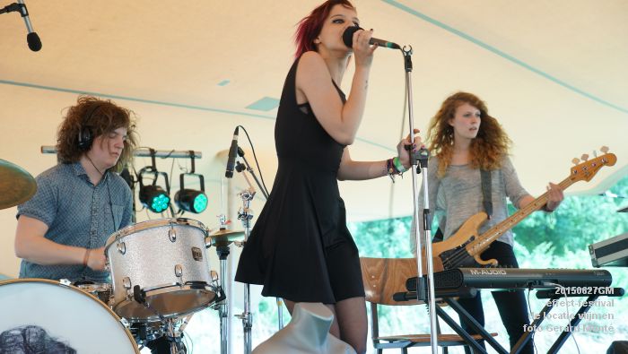 DSC03216-  effect-festival - de locatie vlijmen - zaterdag - 27juni2015 - foto GerardMontE web
