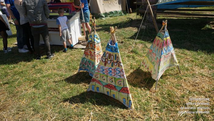 DSC03273-  effect-festival - de locatie vlijmen - zaterdag - 27juni2015 - foto GerardMontE web