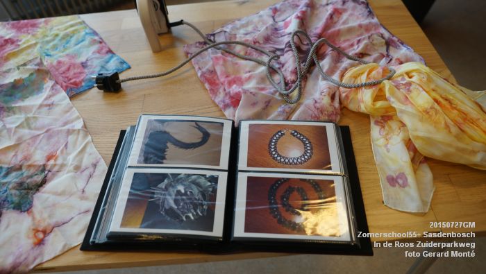 DSC00750- Zomerschool55+ Sasdenbosch - In de Roos Zuiderparkweg - 27juli2015 - foto GerardMontE web