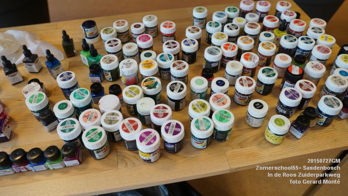 DSC00751- Zomerschool55+ Sasdenbosch - In de Roos Zuiderparkweg - 27juli2015 - foto GerardMontE web