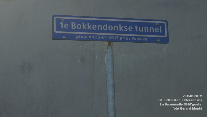 DSC06903-  natuurtheater La Damoiselle Jufferschans - 9sep2015 - foto Gerard MontE web