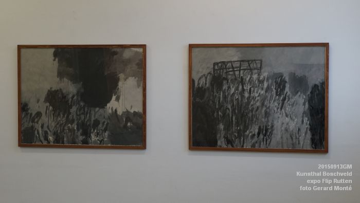 DSC08913- Kunsthal Boschveld - expo Flip Rutten - 13sep2015 - foto Gerard MontE web