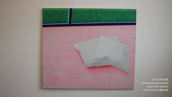DSC08938-DSC04364- Kunsthal Boschveld - expo Flip Rutten  - 11okt2015 - foto GerardMontE web