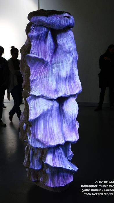 aDSC03533- november music -  installatie WIIfabriek - Dyane Donck Cocon - 1nov2015 - foto GerardMontE web