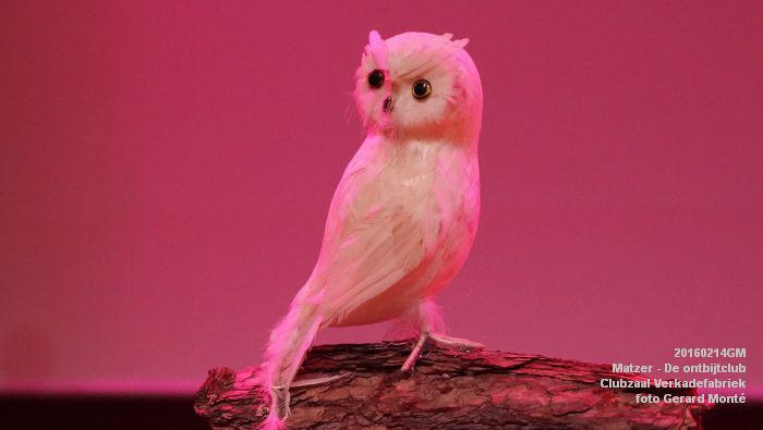 DSC05295- Matzer - Verkadefabriek - De ontbijtclub - 14feb2016 - foto GerardMontE web