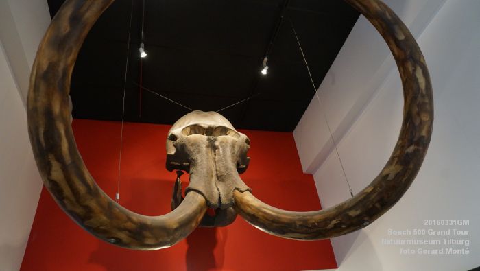 DSC02678- Bosch 500 Grand Tour Natuurmuseum Tilburg - 31maart2016 - foto GerardMontE web