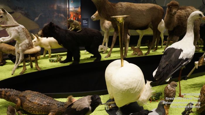 DSC02697- Bosch 500 Grand Tour Natuurmuseum Tilburg - 31maart2016 - foto GerardMontE web