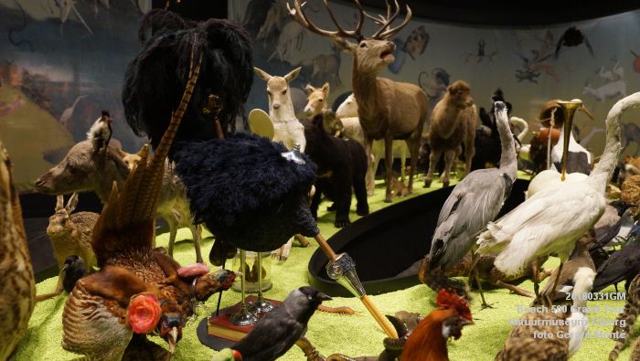 DSC02698- Bosch 500 Grand Tour Natuurmuseum Tilburg - 31maart2016 - foto GerardMontE web