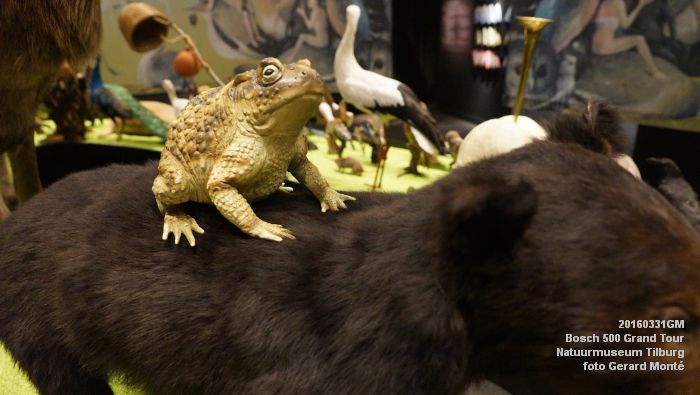 DSC02701- Bosch 500 Grand Tour Natuurmuseum Tilburg - 31maart2016 - foto GerardMontE web